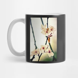 White Blossoms Mug